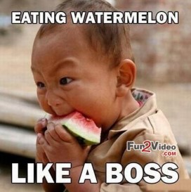 Eating watermelon like a boss