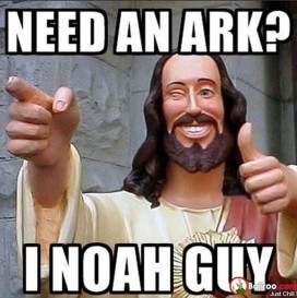 Need An Ark I Noah Guy